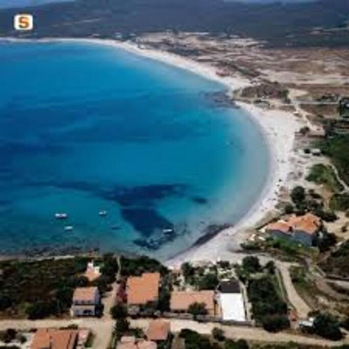 Sardegna Casa A 250 Metri Dal Mare Con Piscina Lägenhet Olbia Exteriör bild