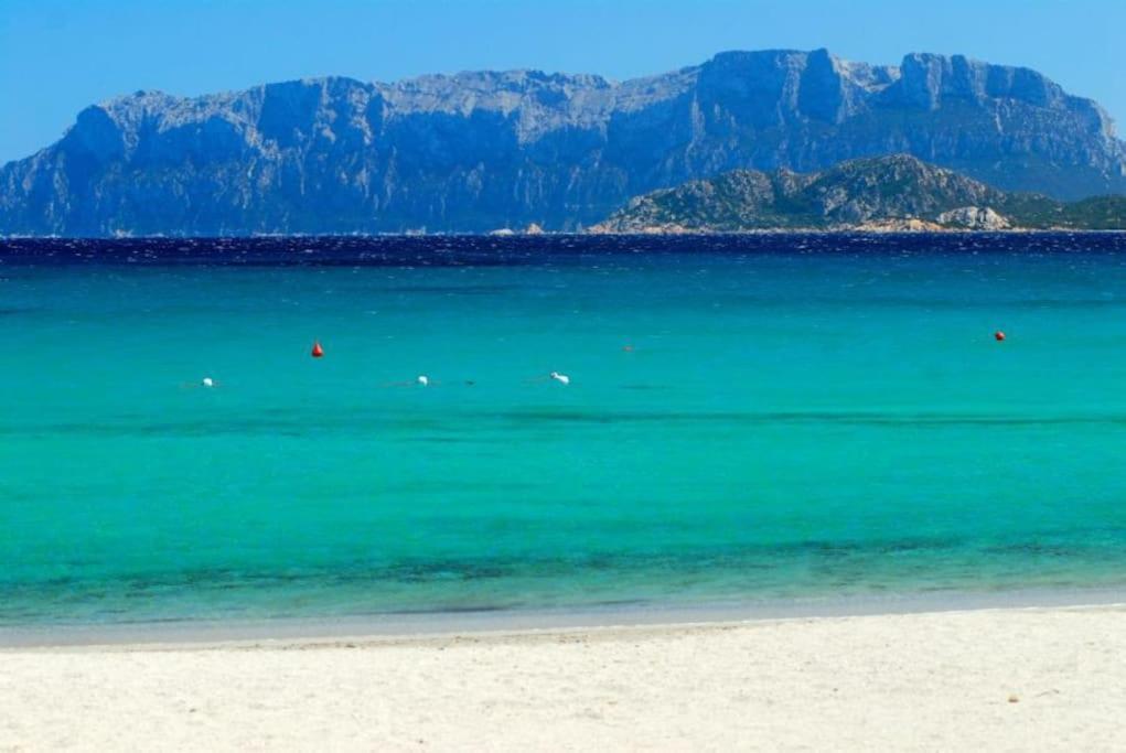 Sardegna Casa A 250 Metri Dal Mare Con Piscina Lägenhet Olbia Exteriör bild
